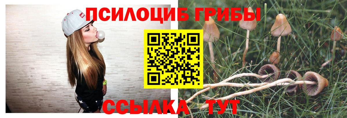 Армавир  Псилоцибиновые грибы мицелий  Вход с VPN 